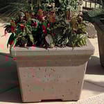 View Roma Series Square Planters